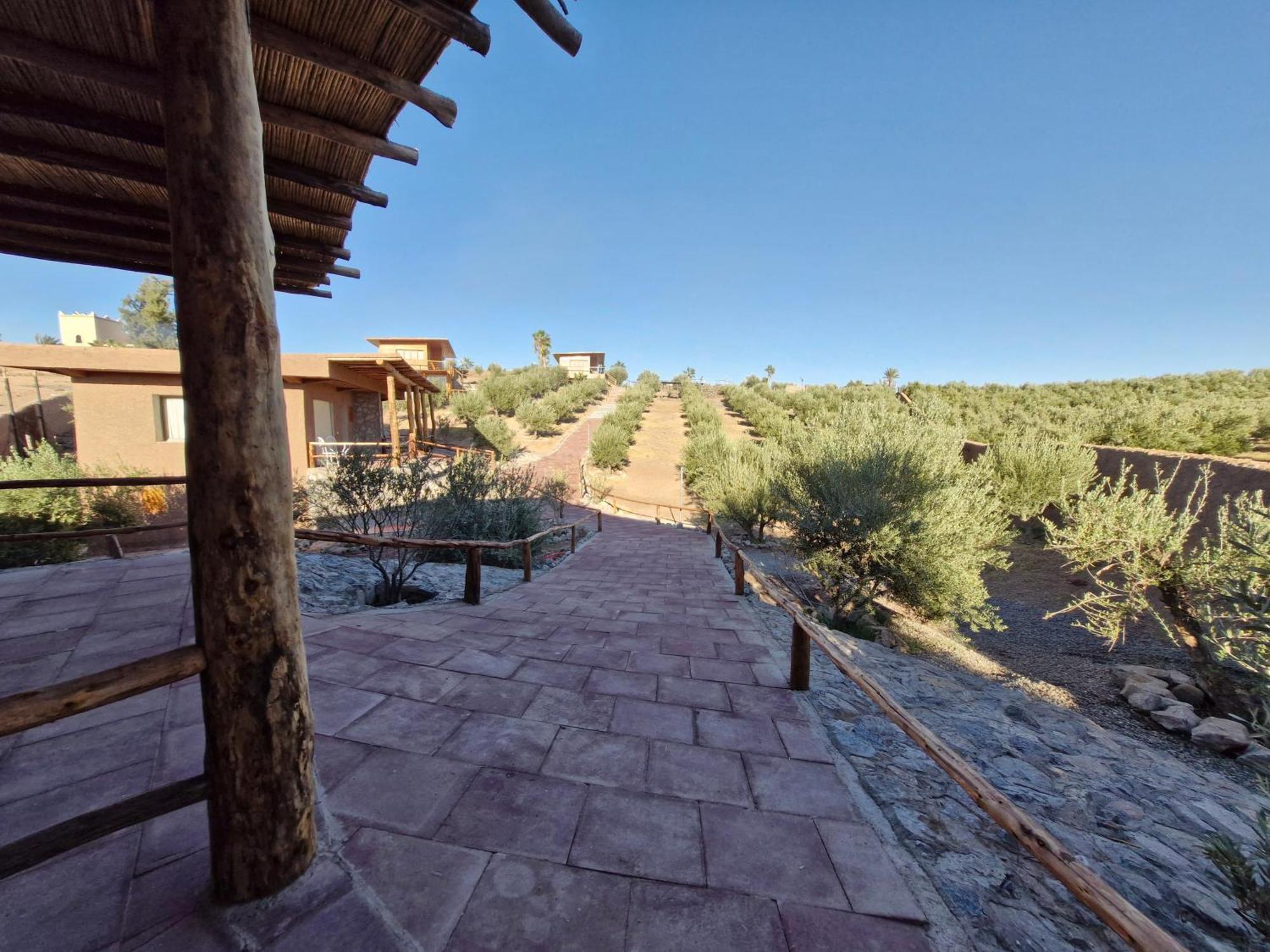 Le Parc Des Oliviers Otel Hrabil Saâda Dış mekan fotoğraf